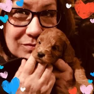 Meet your Posher, Tammy